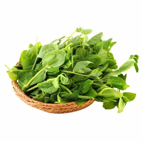 成都生態(tài)農(nóng)產(chǎn)品 基地直發(fā)到家，新鮮味美觸手可及