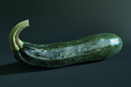 綠意盎然，新鮮上市 西葫蘆的高品質(zhì)選擇