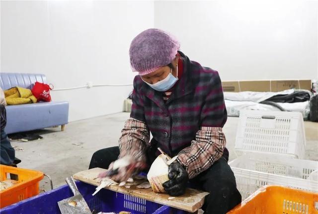 從同安到赤錫 永泰這個(gè)農(nóng)產(chǎn)品加工廠越做越大！